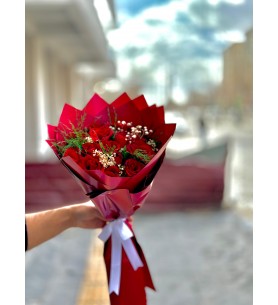 kırmızı rüya